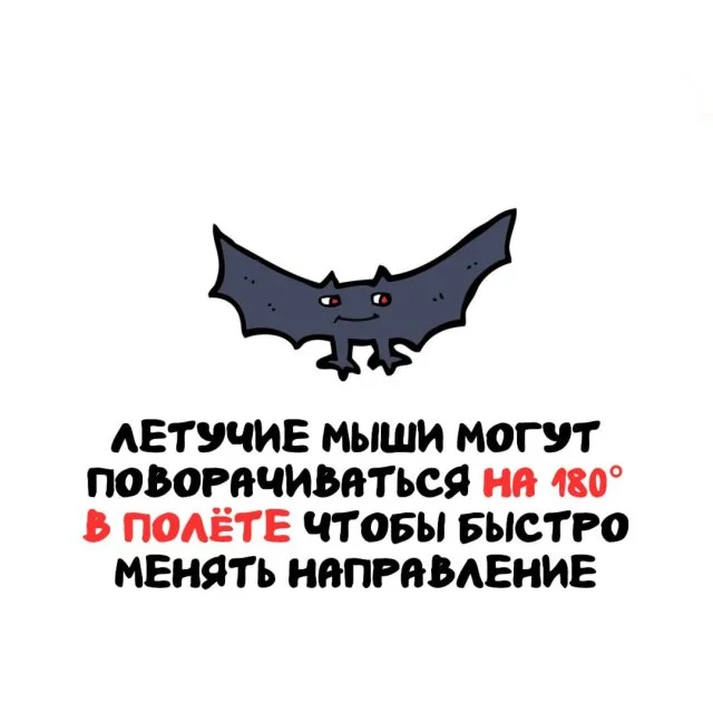 Интересное обо всём: факты, о которых вы не знали