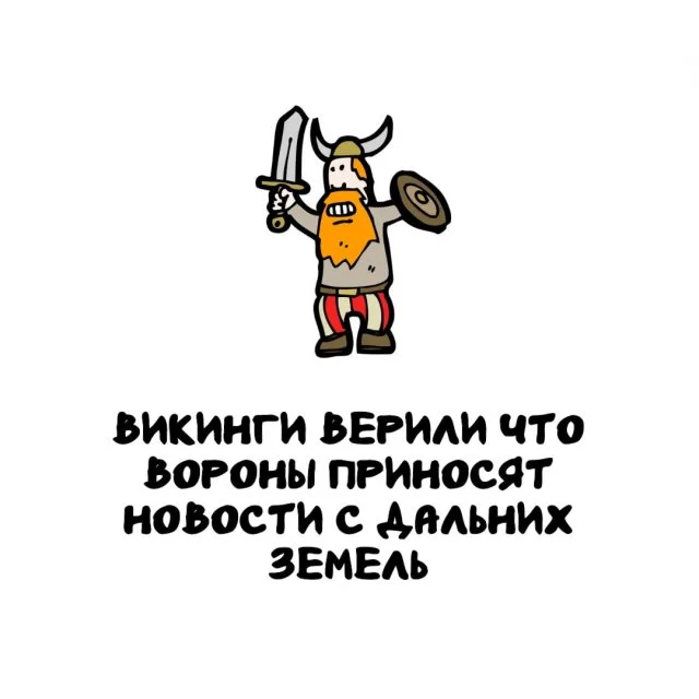 Интересное обо всём: факты, о которых вы не знали