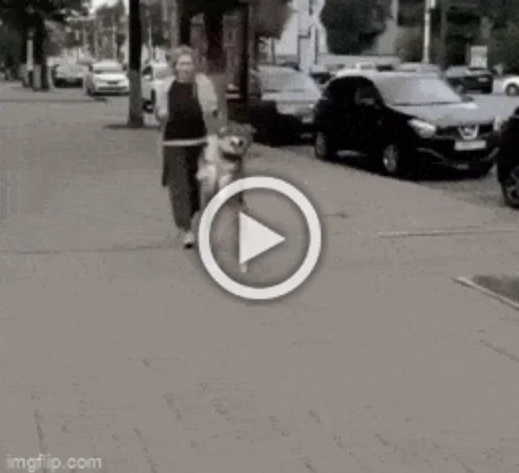 Разнообразные ГИФки #198