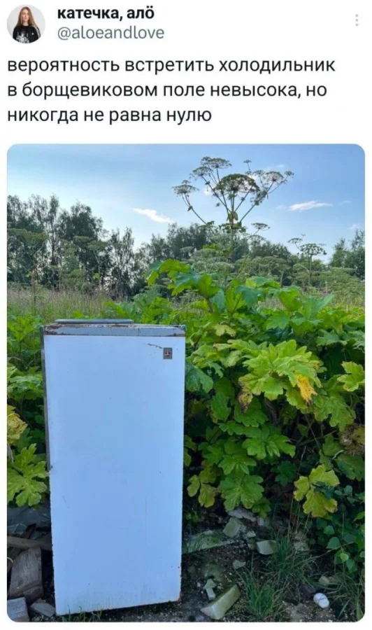 Смешные скрины из соцсетей #128