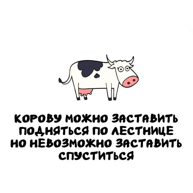 Подборка интересных фактов на все случаи жизни