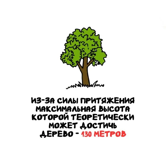 Подборка интересных фактов на все случаи жизни