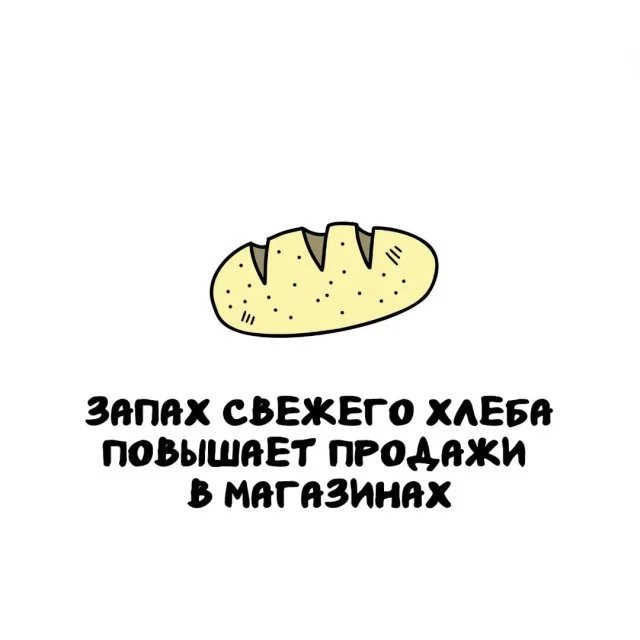 Подборка интересных фактов на все случаи жизни