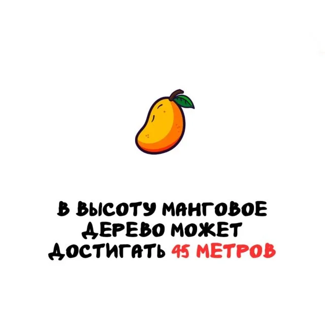 Подборка интересных фактов на все случаи жизни