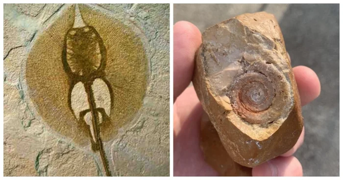 18 археологических открытий, раскрывающих тайны древних обитателей Земли