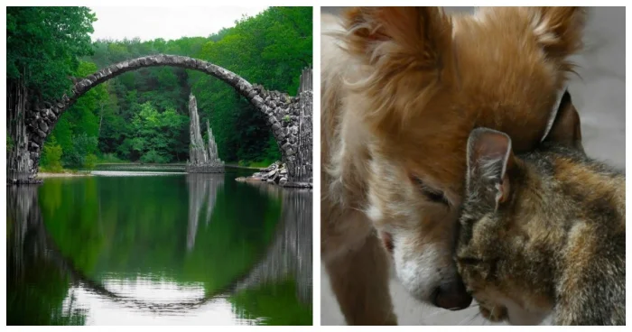 20 чудес природы, которые заставят улыбнуться и удивиться