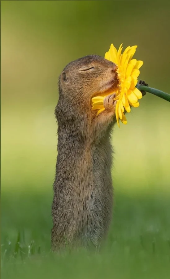 20 чудес природы, которые заставят улыбнуться и удивиться