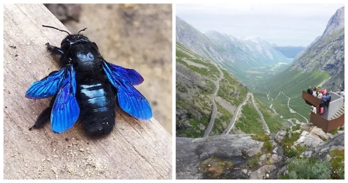 20 фотографий, доказывающих, что чудеса повсюду вокруг нас