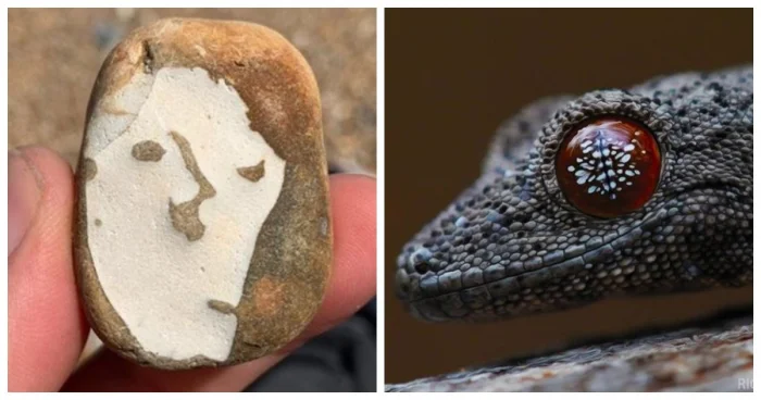 20 удивительных природных чудес, созданных чистой случайностью