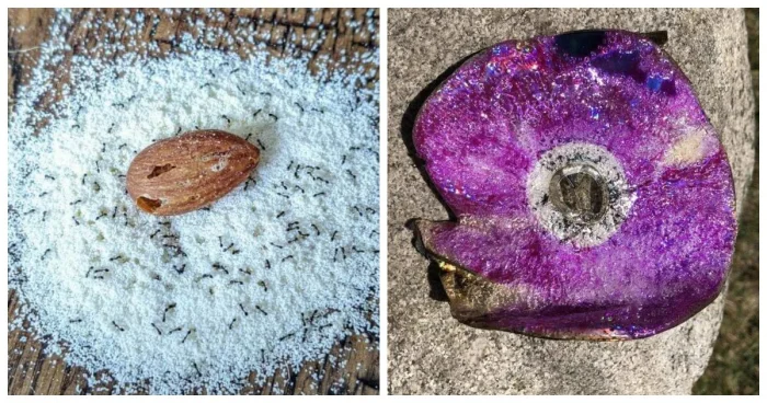 20 повседневных чудес, от которых захватывает дух