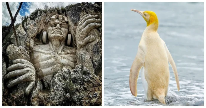 20 фотографий, доказывающих, что магия повсюду вокруг нас