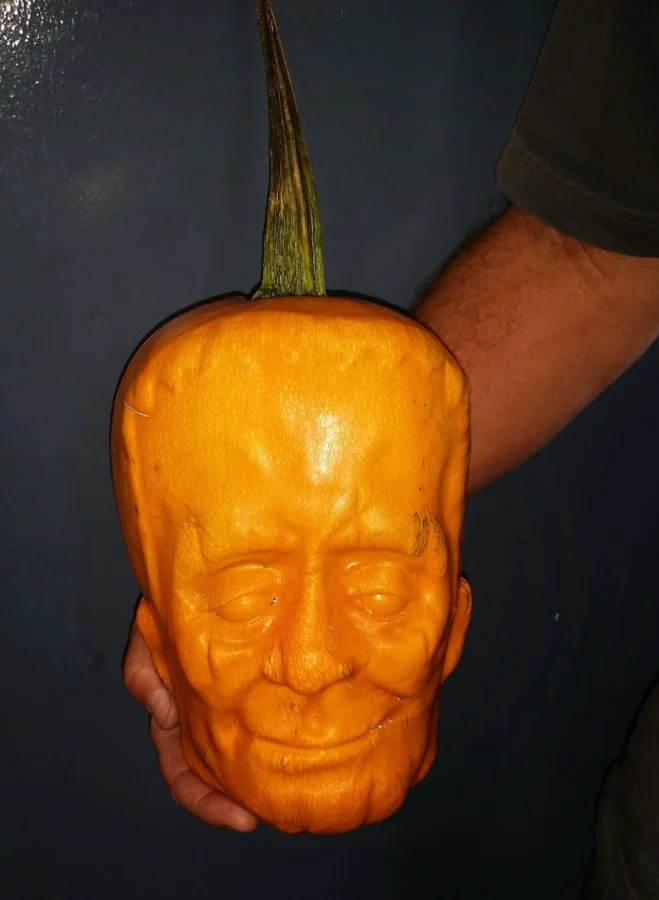 20 фотографий, доказывающих, что магия повсюду вокруг нас