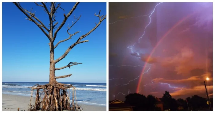 20 впечатляющих фото, показывающих, насколько могущественна природа