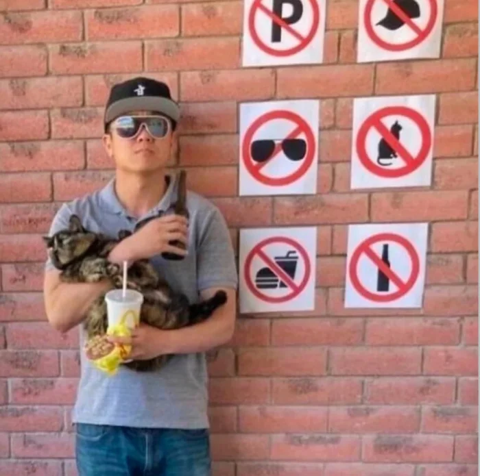 20 смешных ситуаций, которые напоминают: радость рядом