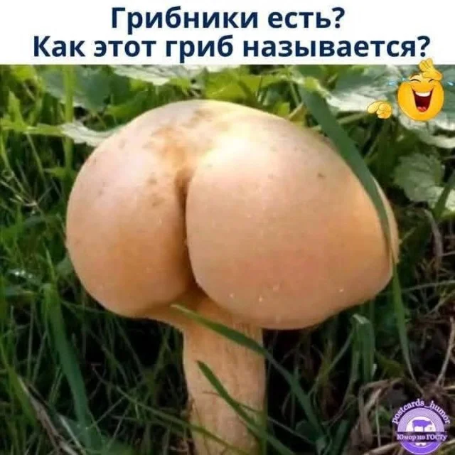 Отличные и веселые мемы