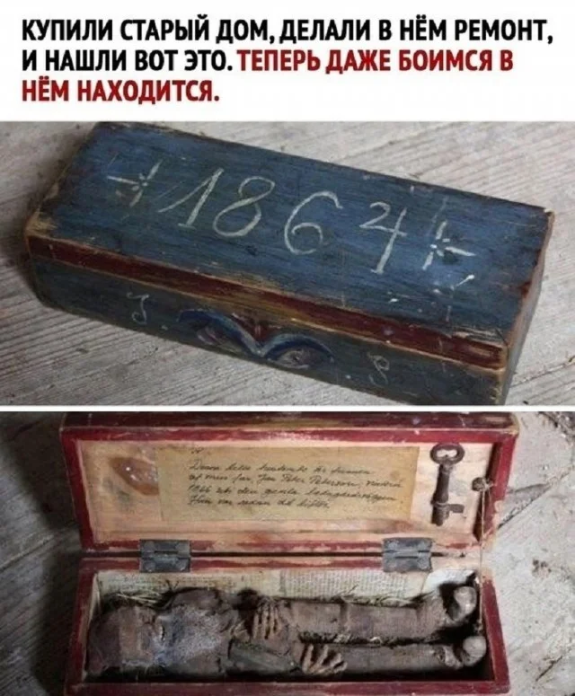 Мемы, что надо