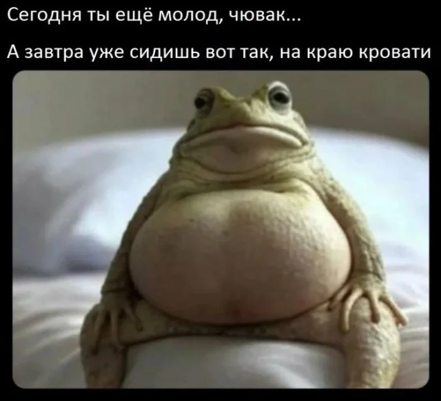 Мемная деградация