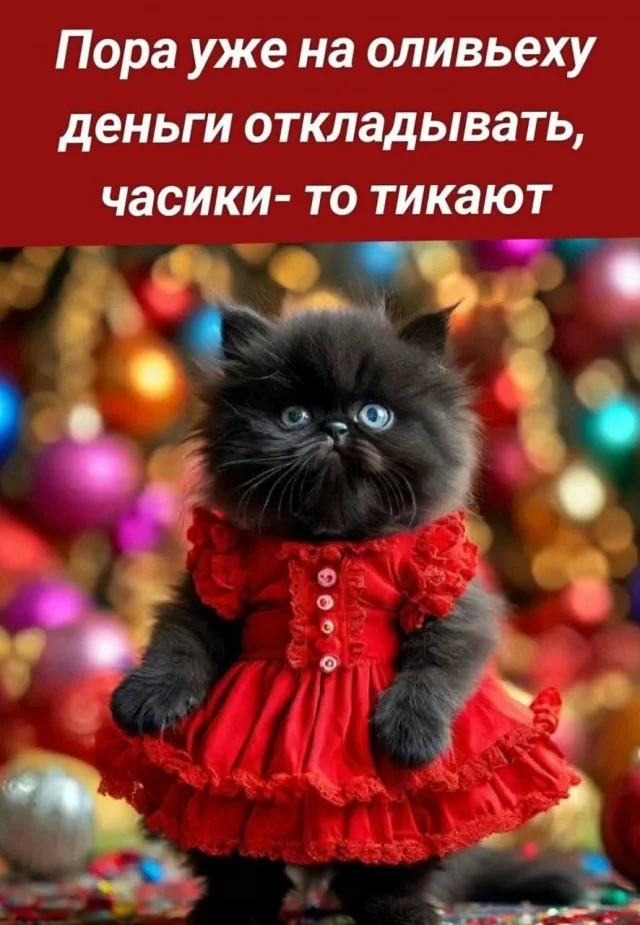 Весёлые мемы на каждый день