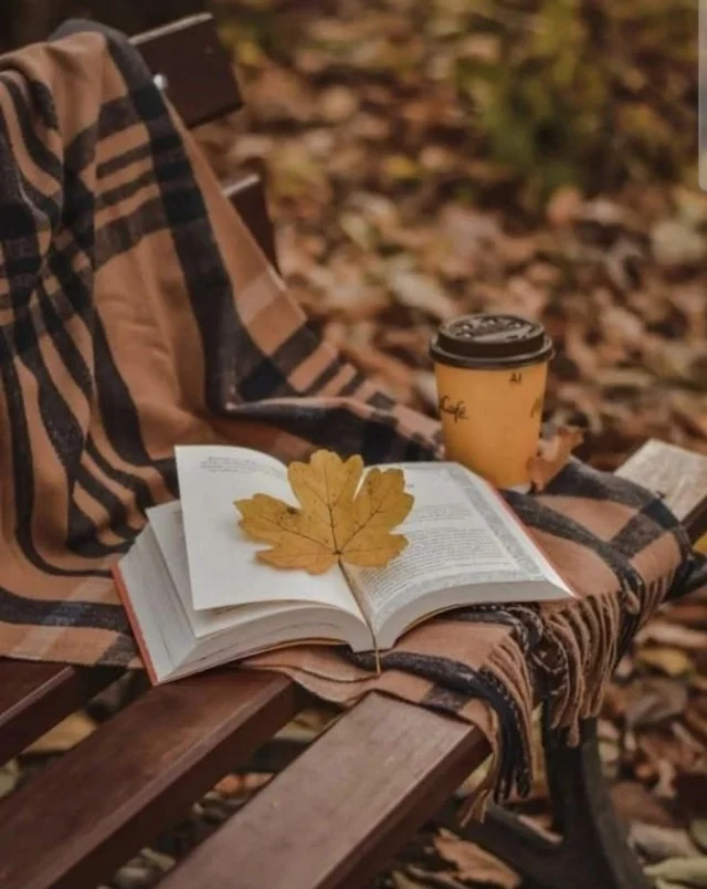 Получается мемы подъехали