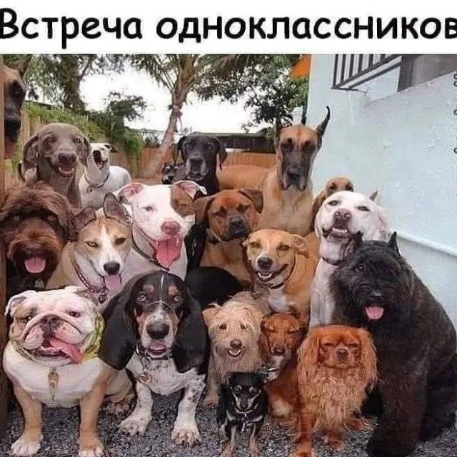 Заряжаем день позитивом: Мемы