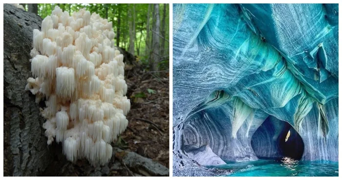 Фотографии, возвращающие веру в добро и чудо — 20 волшебных мгновений