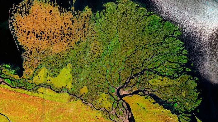 Где начинается Лена: путешествие к крупнейшей речной дельте страны