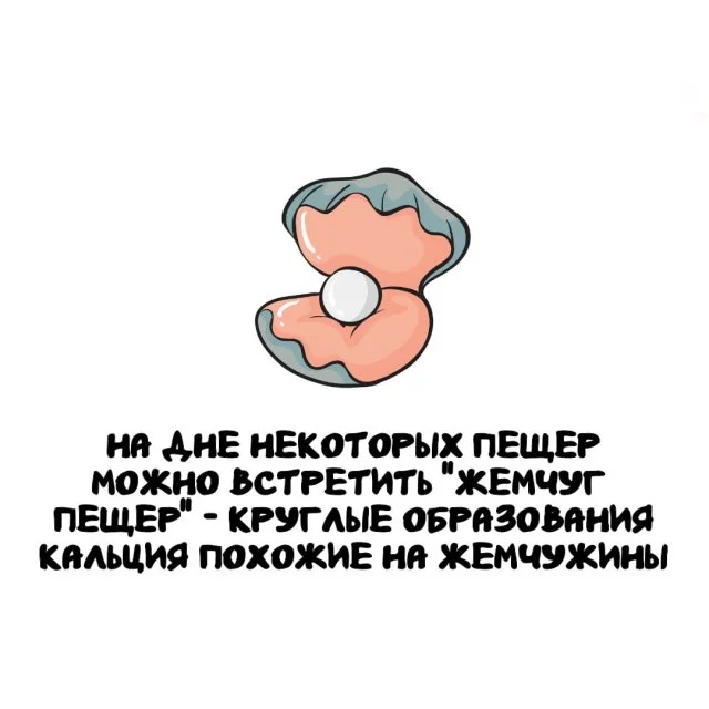 Подборка любопытных фактов на все случаи жизни