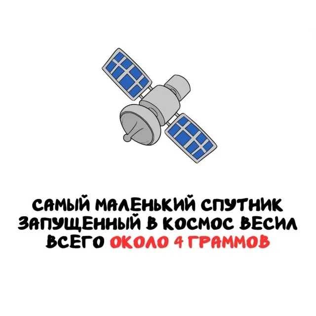 Подборка любопытных фактов на все случаи жизни