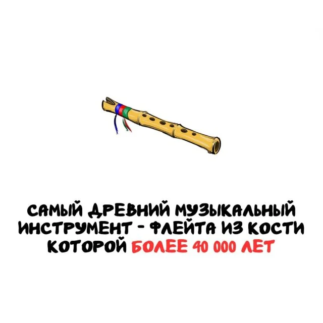 Подборка интересных фактов на все случаи жизни