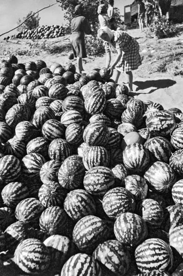 Редкие и интересные фото из эпохи СССР