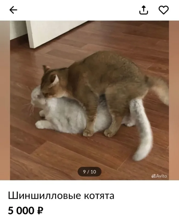 История в 3 картинки