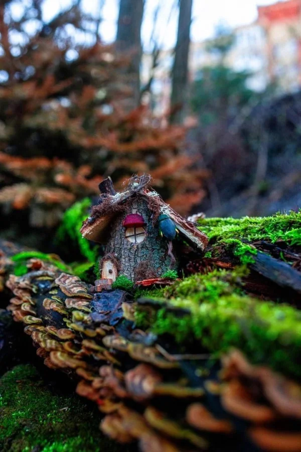 ✨ Эльфийская деревня в Перми — место, где природа стала сказкой