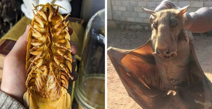 Когда природа показывает свою мощь: 14 поразительных снимков