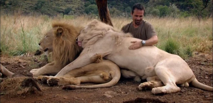 Подборка картинок на общую тему