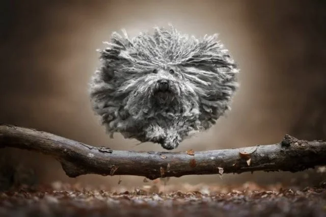 Взбалталось и намешалось