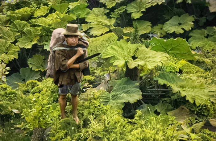 Мир прошлого в красках: уникальные раскрашенные фото из разных стран XX века