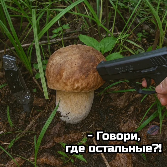 Осенний лес в красках: подборка тёплых и атмосферных фотографий