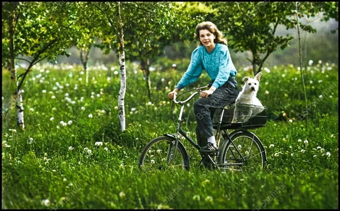 20 раскрашенных ретро-фото собак, которые гарантированно поднимут настроение