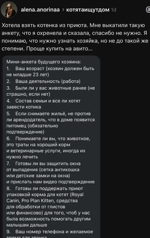 Анкета перед усыновлением: забота о животных или лишняя бюрократия?