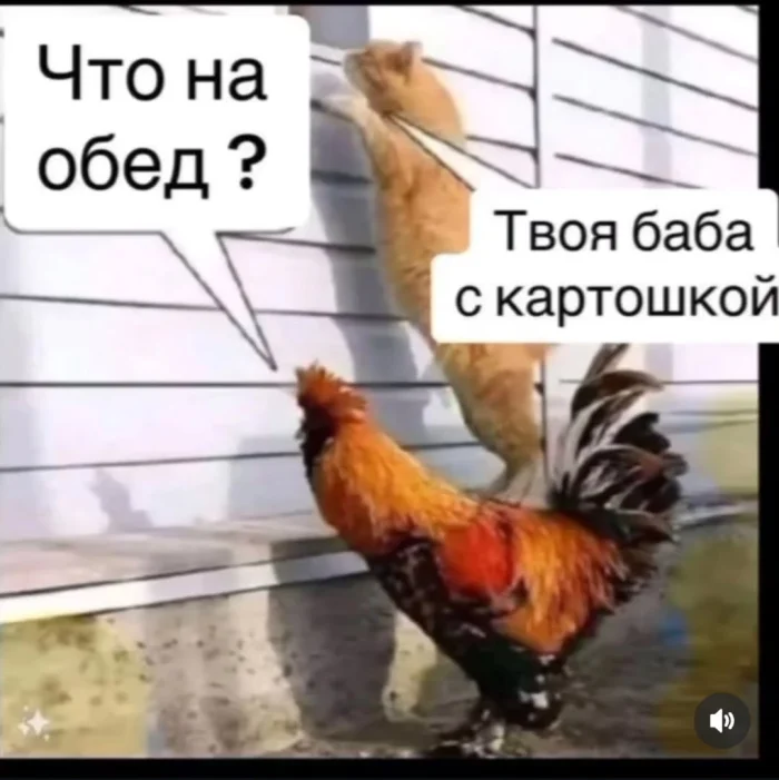 Пошлые мемы и чёрный юмор 18+ | Подборка #12