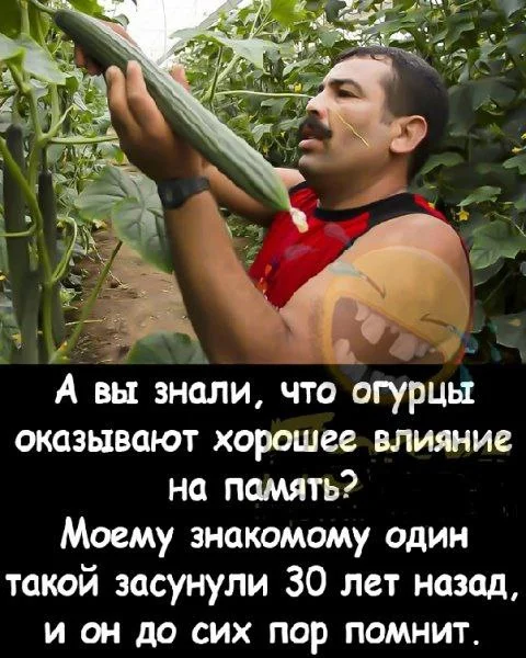 Пошлые мемы и чёрный юмор 18+ | Подборка #14