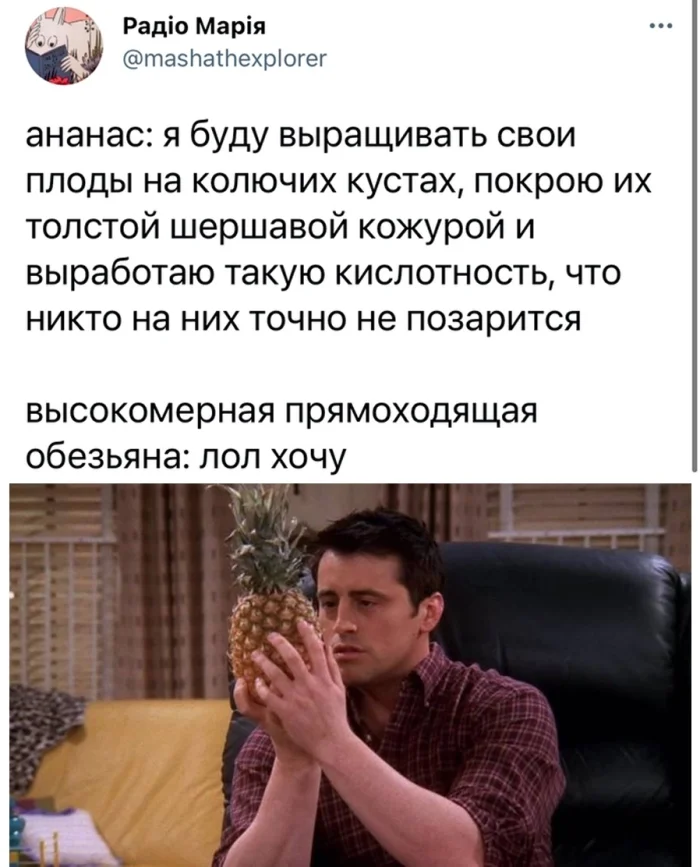 Растения и их эволюция