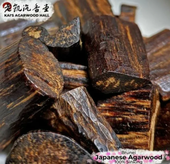 Самое ценное дерево в мире: почему его стоимость превышает цену золота