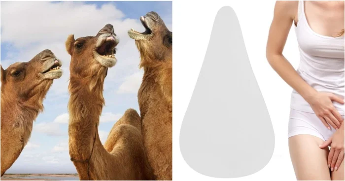 Новый тренд или полный абсурд: силиконовые накладки против «верблюжьей лапки»