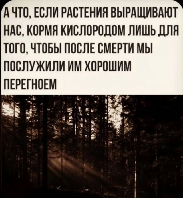 Смешные скрины из соцсетей #118