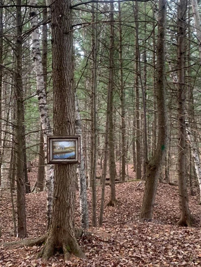 Что находят в чаще: самые жуткие тайны леса