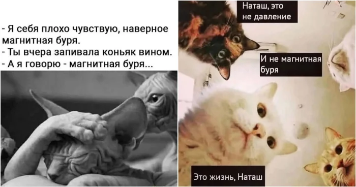 Магнитные бури безвредны: что говорят современные учёные