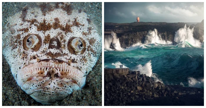 Загадочный мир под водой: 20 кадров, раскрывающих тайны океана