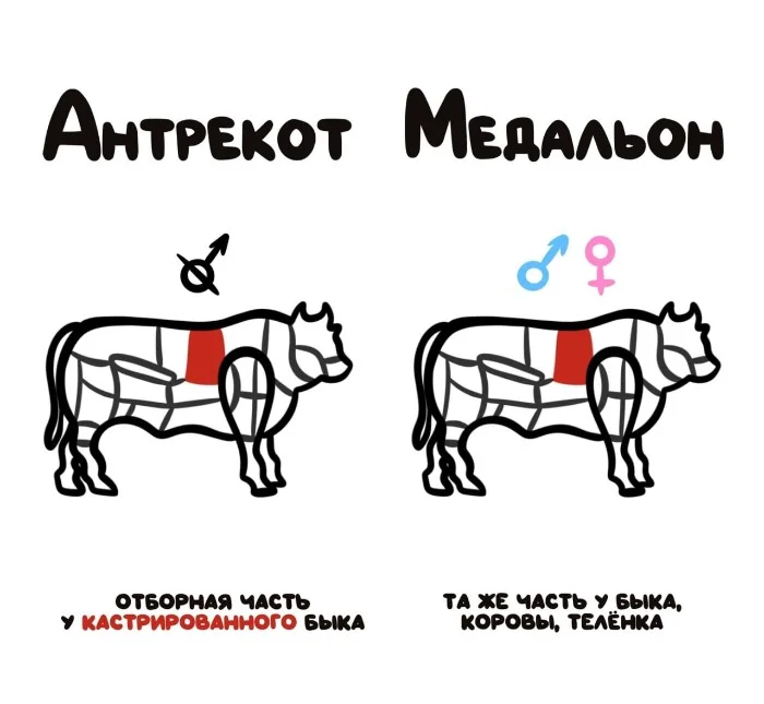 Знай разницу — прикольные картинки, сравнения и различия | #128