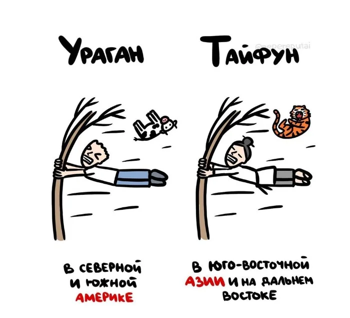 Знай разницу  — прикольные картинки, сравнения и различия | #146